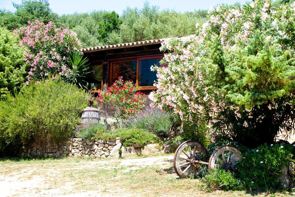 Agriturismo Sardo Vila Campavaglio Exterior foto