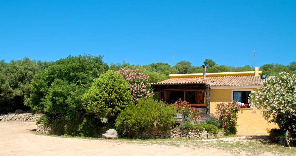 Agriturismo Sardo Vila Campavaglio Exterior foto