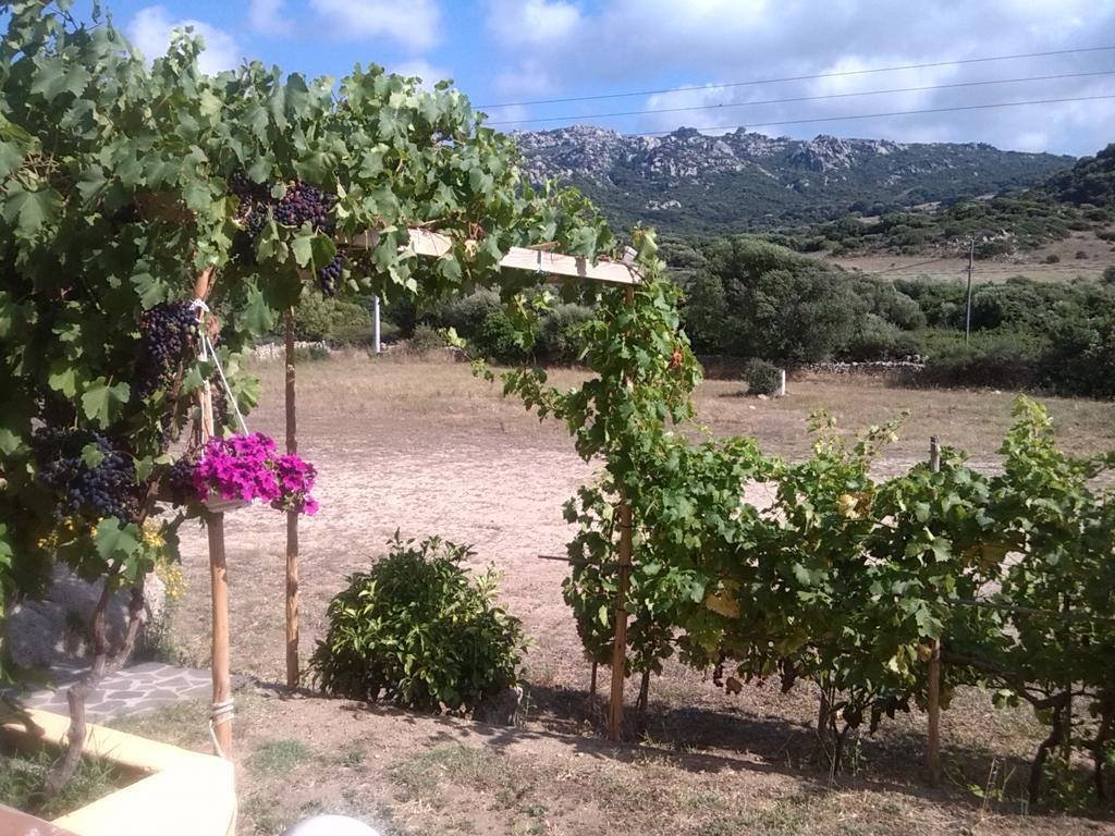 Agriturismo Sardo Vila Campavaglio Exterior foto