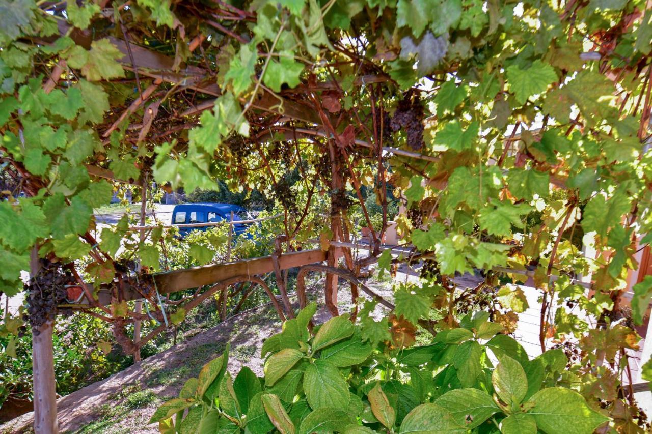 Agriturismo Sardo Vila Campavaglio Exterior foto