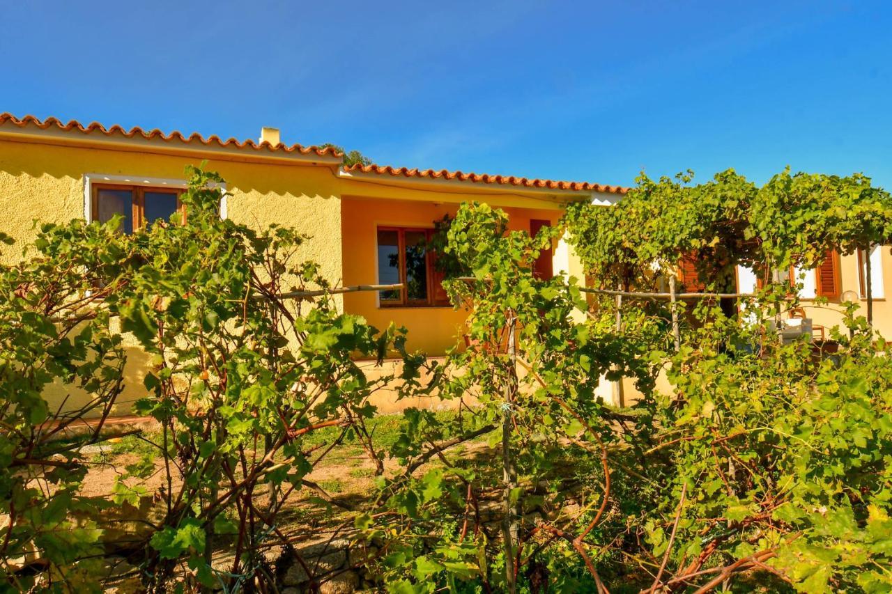 Agriturismo Sardo Vila Campavaglio Exterior foto